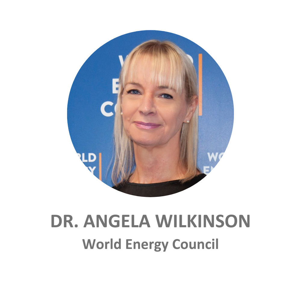 Dr Angela Wilkinson