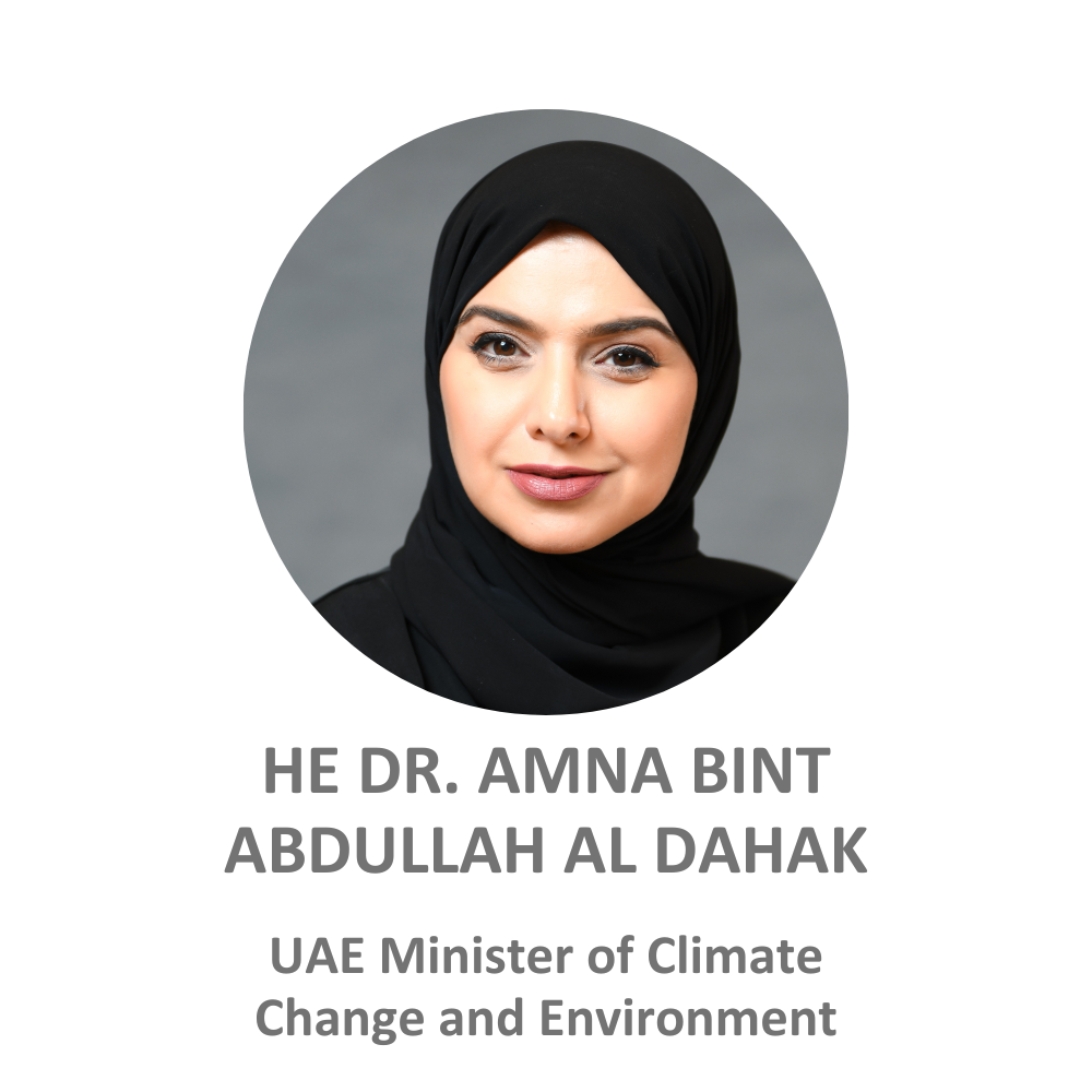 HE Dr Amna bint Abdullah Al Dahak