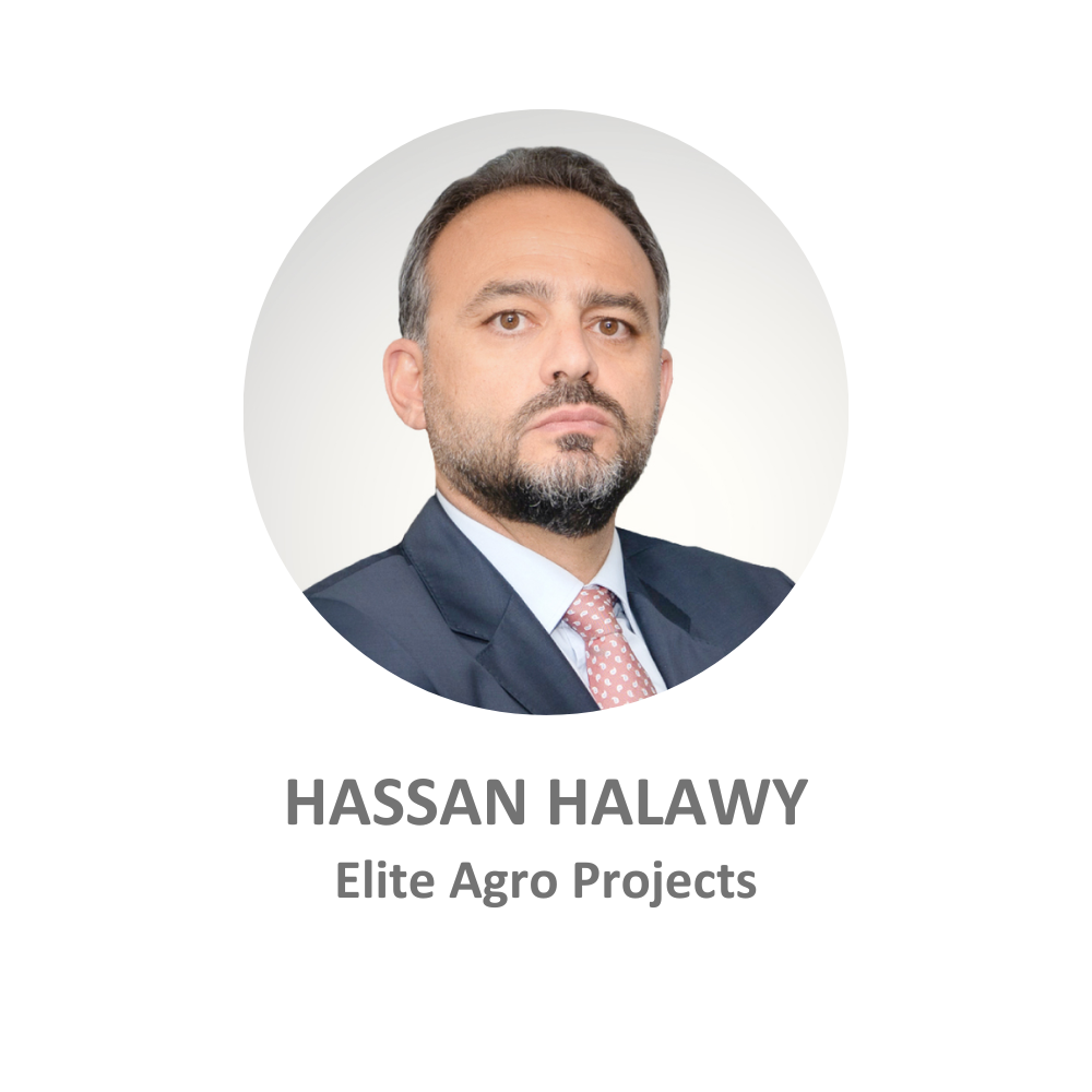 Hassan Halawy