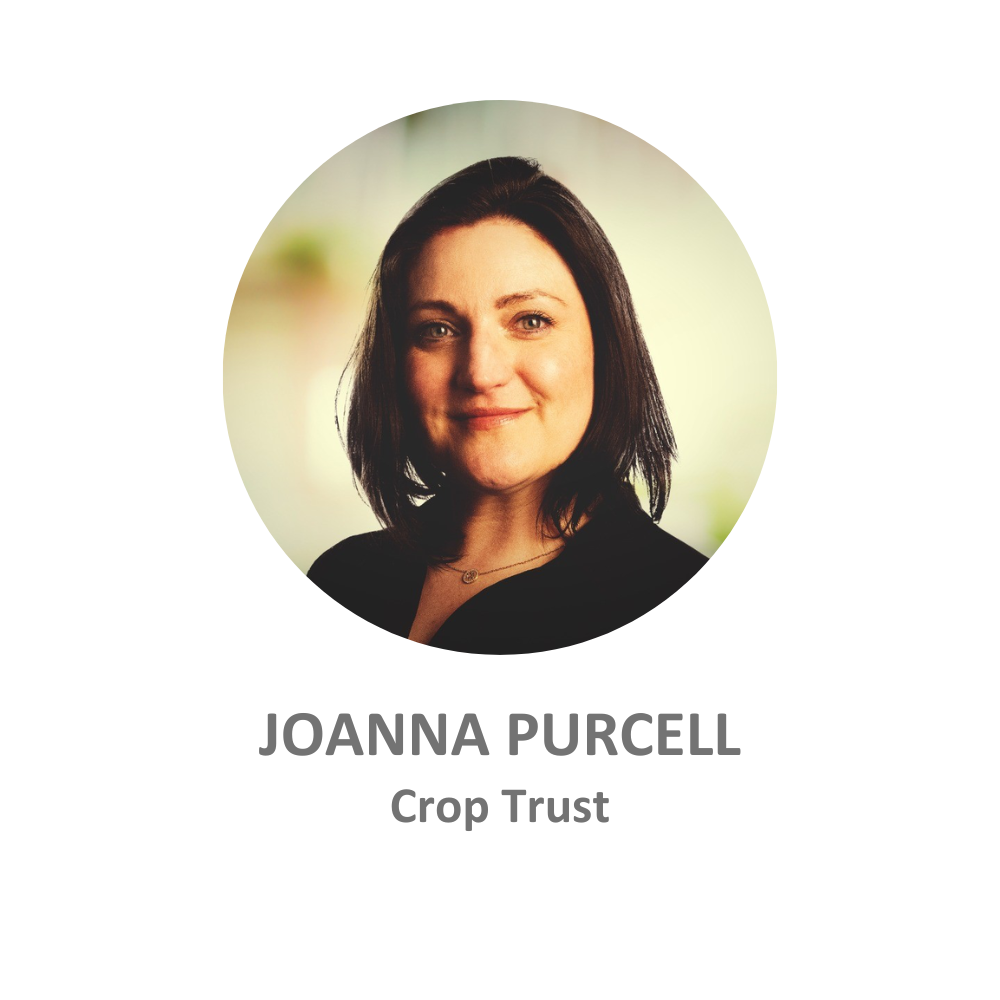 Joanna Purcell